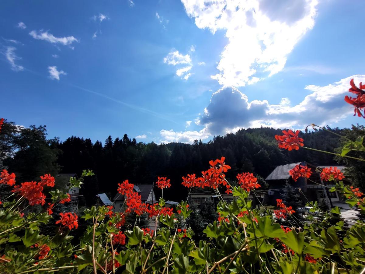 Rezydencja Lesny Dwor Piwniczna-Zdroj 외부 사진